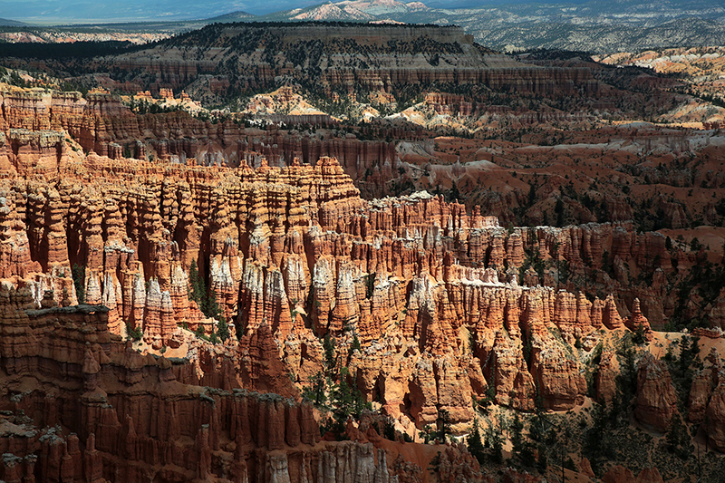 Bryce Canyon : Utah : Landscape Photos : Richard Moore : Photographer